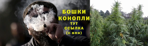 дживик Бронницы