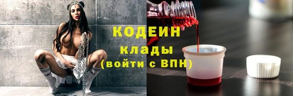 дживик Бронницы