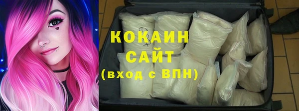дживик Бронницы