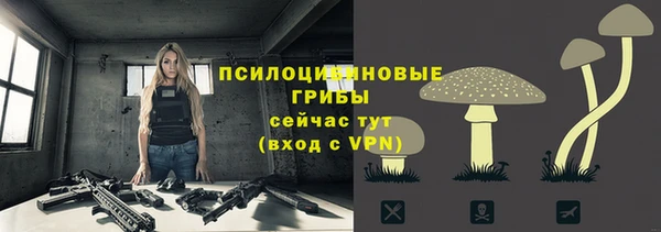 дживик Бронницы