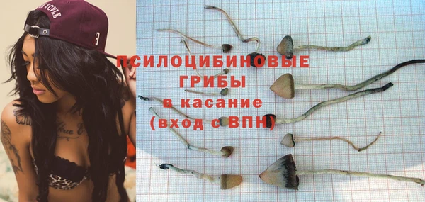 мдма Бородино
