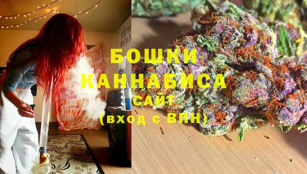 дживик Бронницы