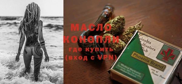 дживик Бронницы