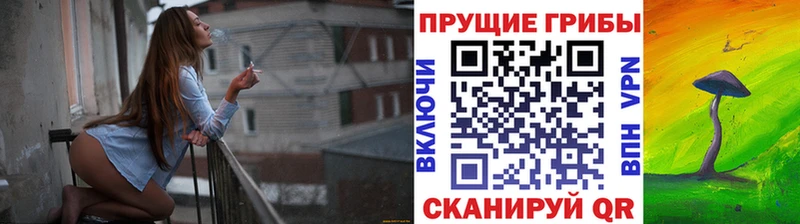 Галлюциногенные грибы Cubensis  Армавир 
